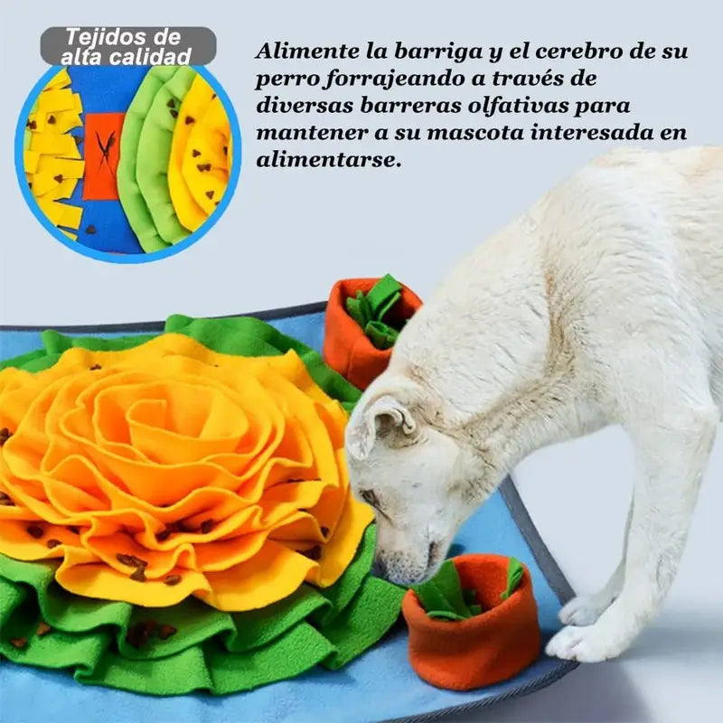 Alfombra Olfativa para Perros | Estimulación y Antiestrés en Casa