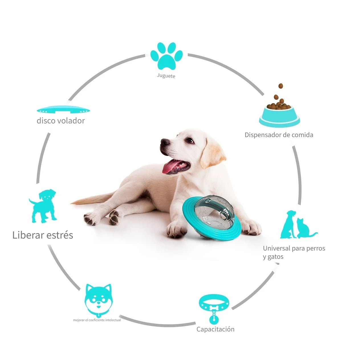 Pelota Dispensadora de Premios | Diseño OVNI Interactivo para Perros
