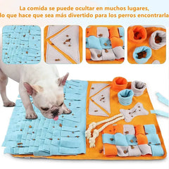 Alfombra Olfativa para Perros | Estimulación y Antiestrés en Casa