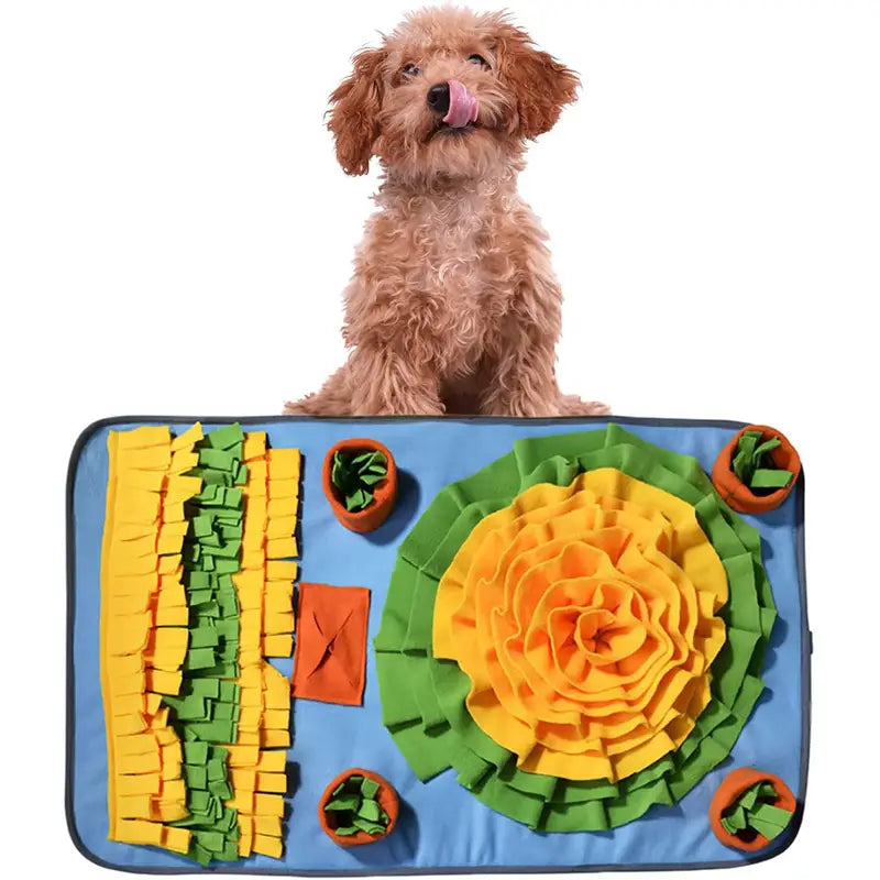 Alfombra Olfativa para Perros | Estimulación y Antiestrés en Casa