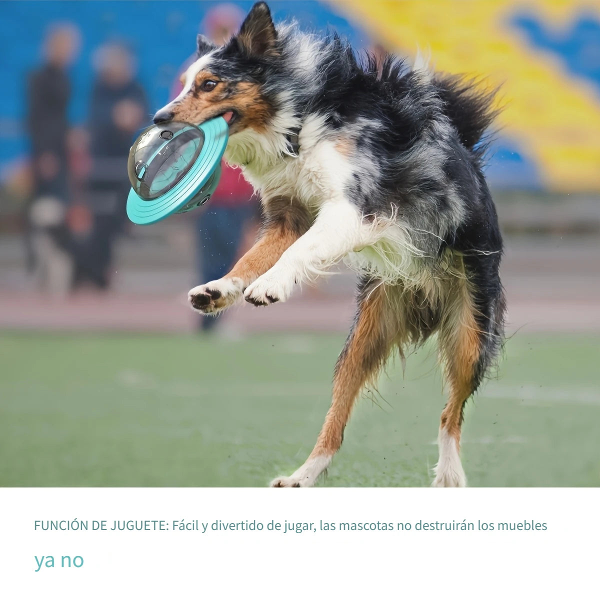 Pelota Dispensadora de Premios | Diseño OVNI Interactivo para Perros